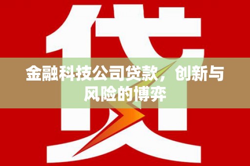 浦江金融科技公司贷款，创新与风险的博弈