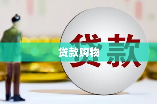 浦江贷款购物