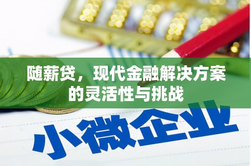 浦江随薪贷，现代金融解决方案的灵活性与挑战