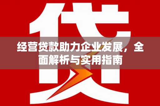 浦江经营贷款助力企业发展，全面解析与实用指南