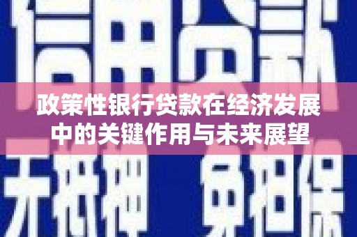 浦江政策性银行贷款在经济发展中的关键作用与未来展望