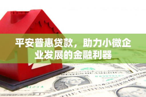 浦江平安普惠贷款，助力小微企业发展的金融利器