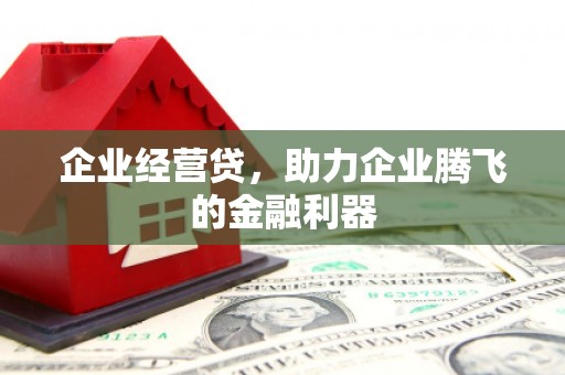 浦江企业经营贷，助力企业腾飞的金融利器