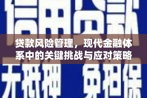 浦江贷款风险管理，现代金融体系中的关键挑战与应对策略