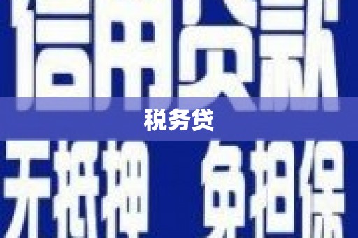 浦江税务贷