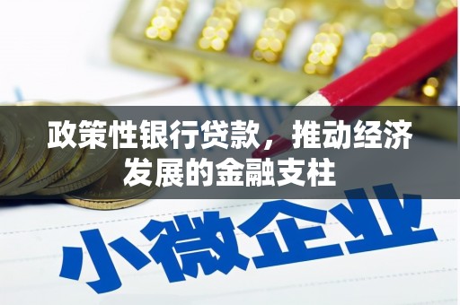 浦江政策性银行贷款，推动经济发展的金融支柱
