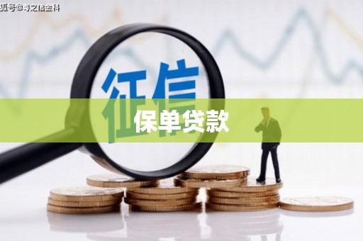 浦江保单贷款
