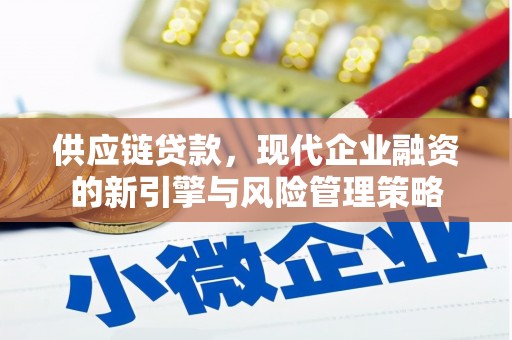 浦江供应链贷款，现代企业融资的新引擎与风险管理策略