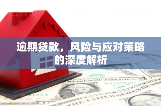 浦江逾期贷款，风险与应对策略的深度解析