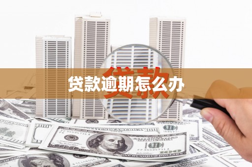 浦江贷款逾期怎么办