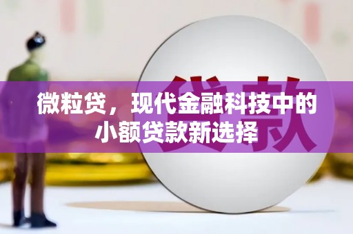 浦江微粒贷，现代金融科技中的小额贷款新选择