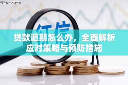 浦江贷款逾期怎么办，全面解析应对策略与预防措施