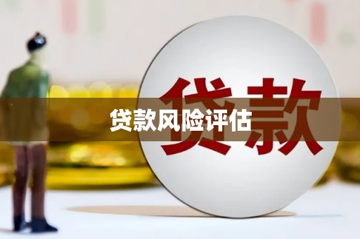 浦江贷款风险评估