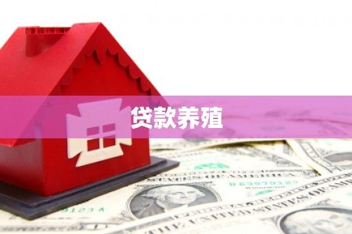浦江贷款养殖