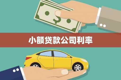 浦江小额贷款公司利率