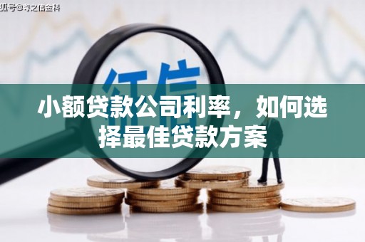 浦江小额贷款公司利率，如何选择最佳贷款方案