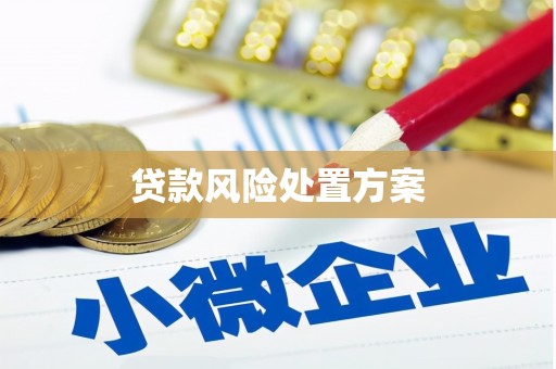 浦江贷款风险处置方案