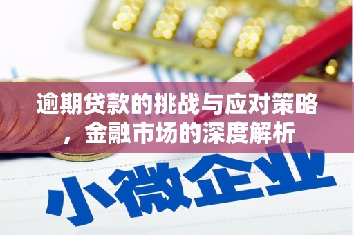 浦江逾期贷款的挑战与应对策略，金融市场的深度解析