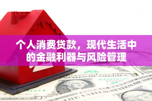 浦江个人消费贷款，现代生活中的金融利器与风险管理