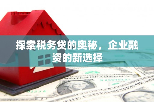 浦江探索税务贷的奥秘，企业融资的新选择