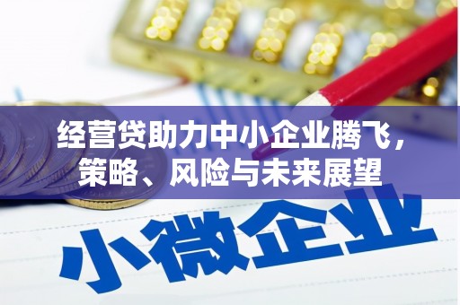 浦江经营贷助力中小企业腾飞，策略、风险与未来展望