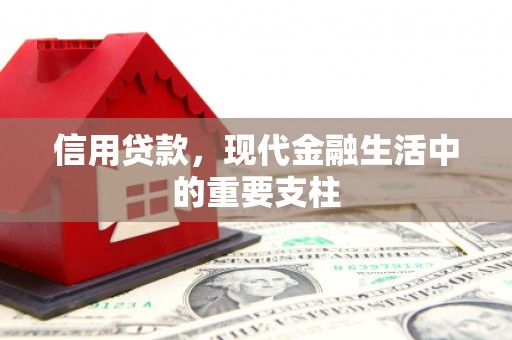 浦江信用贷款，现代金融生活中的重要支柱