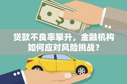浦江贷款不良率攀升，金融机构如何应对风险挑战？