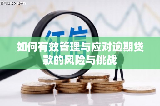 浦江如何有效管理与应对逾期贷款的风险与挑战