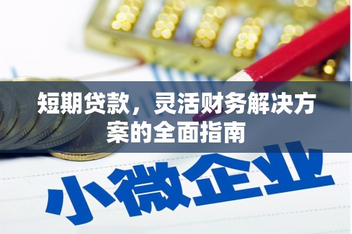 浦江短期贷款，灵活财务解决方案的全面指南