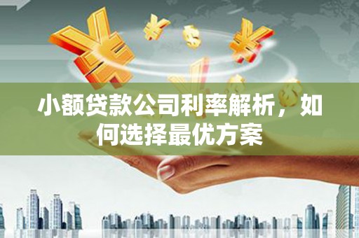 浦江小额贷款公司利率解析，如何选择最优方案