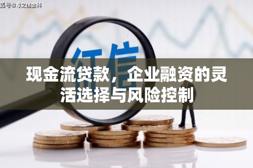 浦江现金流贷款，企业融资的灵活选择与风险控制