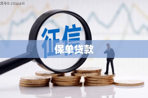 浦江保单贷款