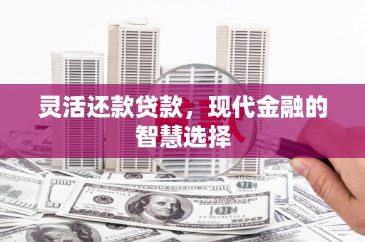 浦江灵活还款贷款，现代金融的智慧选择