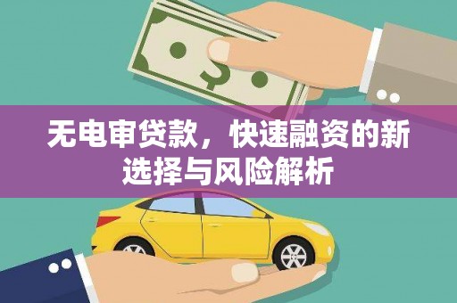浦江无电审贷款，快速融资的新选择与风险解析