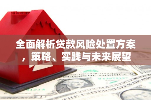 浦江全面解析贷款风险处置方案，策略、实践与未来展望
