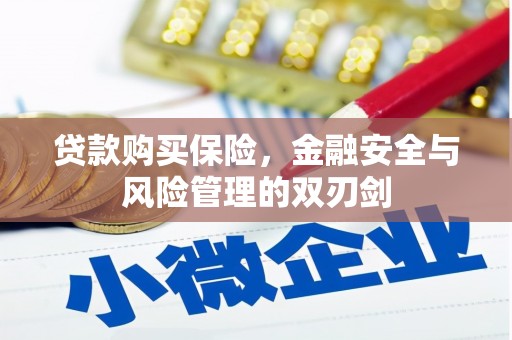 浦江贷款购买保险，金融安全与风险管理的双刃剑