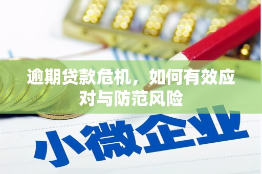 浦江逾期贷款危机，如何有效应对与防范风险