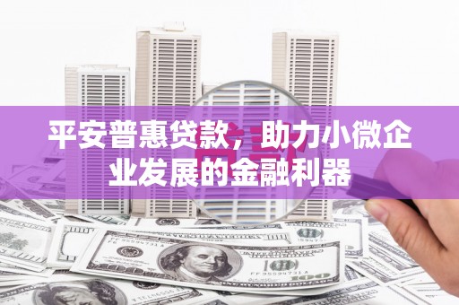 浦江平安普惠贷款，助力小微企业发展的金融利器