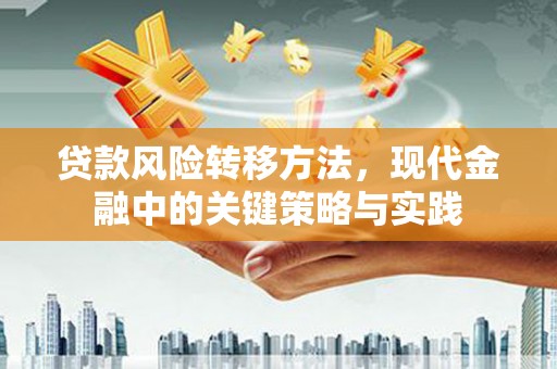 浦江贷款风险转移方法，现代金融中的关键策略与实践