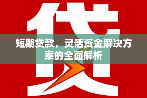 浦江短期贷款，灵活资金解决方案的全面解析