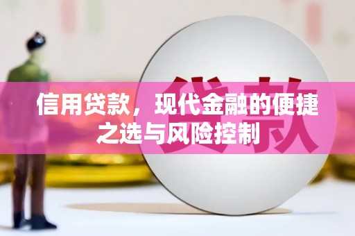 浦江信用贷款，现代金融的便捷之选与风险控制