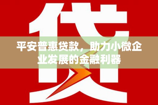 浦江平安普惠贷款，助力小微企业发展的金融利器