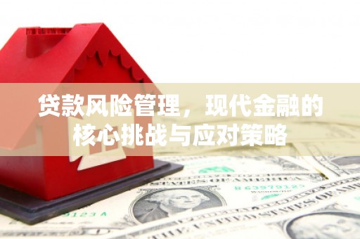 浦江贷款风险管理，现代金融的核心挑战与应对策略