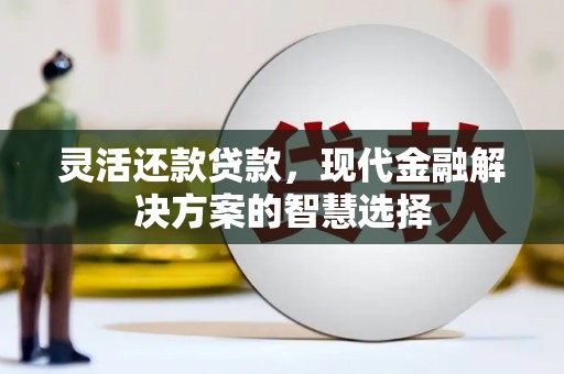 浦江灵活还款贷款，现代金融解决方案的智慧选择