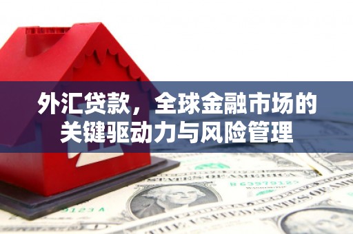 浦江外汇贷款，全球金融市场的关键驱动力与风险管理