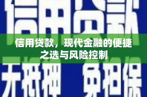 浦江信用贷款，现代金融的便捷之选与风险控制