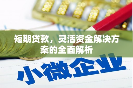 浦江短期贷款，灵活资金解决方案的全面解析
