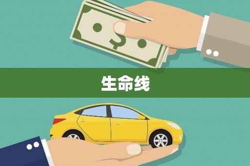 浦江生命线
