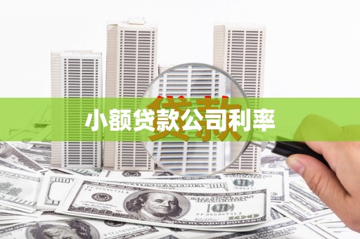 浦江小额贷款公司利率