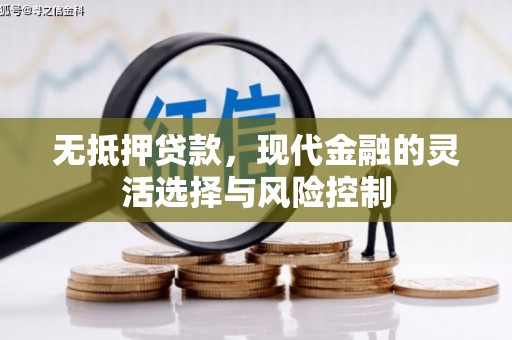 浦江无抵押贷款，现代金融的灵活选择与风险控制